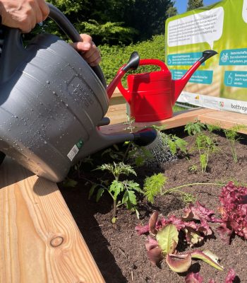 20260425_Gemeinschaftsgarten_komprimier
